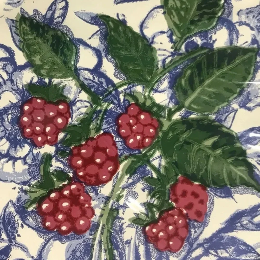 Isabelle De Borchgrave Caspari 8 DINNER Paper Plates Buffet Weight Framboise Lot